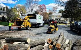 Best Lawn Maintenance Plans  in Orofino, ID