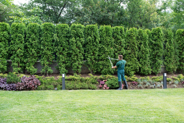 Best Mulching Services  in Orofino, ID