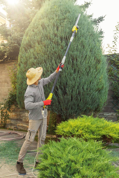Best Pest Control for Lawns  in Orofino, ID